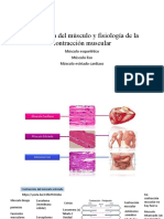 Morfofisiologia Del Musculo