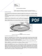 2 Biología Guía 2 Ciclo Celular y Mitosis