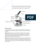 El Microscopio y Su Uso