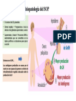 Fisiopatología Del SOP