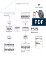 Mantenimiento Bomba Lineal PDF