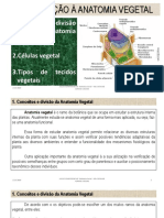 Aula 2 - Botânica Geral PDF