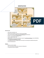 Menstruation: Menstrual Cycle