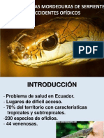 Mordedura de Serpiente