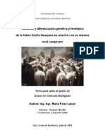 LanariTesis Doctoral PDF