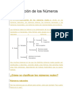 Clasificación de Los Números Reales