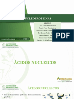 NUCLEOPROTEÍNAS Grupo5