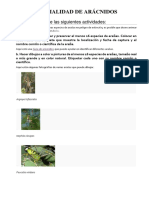 Especialidad de Arácnidos PDF