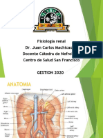 Fisiología Renal