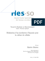 MT 2020 Diplome Meister-Memoire PDF