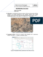 Informe - Viva Chile - 260418