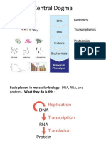 Central Dogma