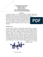 Determinacion de Lipidos Informe