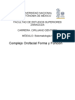 Complejo Orofacial Forma y Función