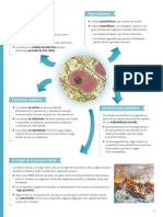 4esobg SV Es Ud01 Doc Rs PDF