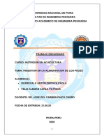 Trabajo de Nutricion1 PDF