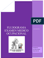 FLUJOGRAMA MEDICINA PREVENTIVA Final