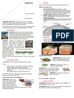 Endogenic Processes: Earth & Life Science Week 6 Handouts