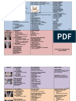 Resumen Final Bloque de Neuroanatomia