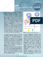 CD8+ T Cells (Células T CD8+)