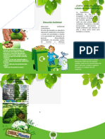 Triptico Del Dia Mundial Del Medio Ambiente