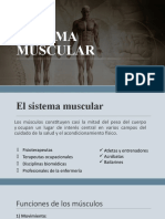 Sistema Muscular