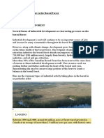 Boreal Forest - Threats To The Boreal Forest