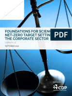 Foundations For Net Zero Full Paper