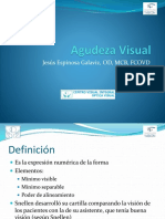 Agudeza Visual