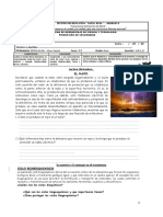 Ficha Materia y Energia en Los Ecosistemas