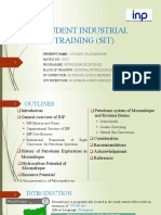 Student Industrial Training (Sit)