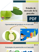 Presentación Guayaba