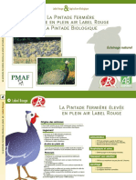 Fiche Pintades-1 PDF