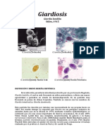 Giardiosis MW Revisado