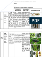 Cuadro Granos Andinos y Leguminosas - JEYSON VASQUEZ PDF