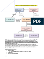 Pathophysiology Final 1