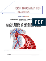 Cuadernillo CIRCULACION 2020 7°