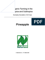 Pineapple: Organic Farming in The Tropics and Subtropics