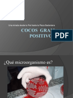 Cocos Gram Positivos