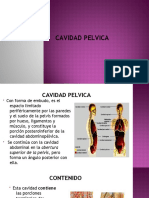 Cavidad Pelvica