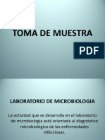 Teoria de TOMA DE MUESTRA