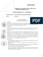 Directiva General N 002-2020-GRJ GGR - Lineamientos Sobre Teletrabo en El Ambito Del Gobierno Region