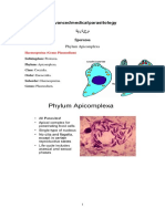 Advanced medical parasitology لما ر ح ل ة ا لر اعب ة Sporozoa