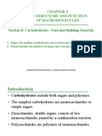 The Structure and Function of Macromolecules Section B: Carbohydrates - Fuel and Building Material