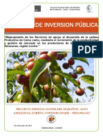 Proyecto de Inversion Pública: Proyecto Especial Datem Del Marañon, Alto Amazonas, Loreto, Condorcanqui - Pedamaalc