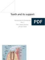 Tooth and Its Support: Introduction To Dantamula Prof. Udaya Shankar, 29 April 2020