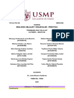 Informe S5 - GRUPO 8A