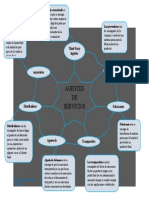 Mapa Mental Agentes de Servicios