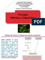 Clase Virología-Métodos y Diagnósticos