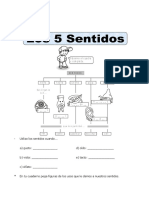 Actividad de Los 5 Sentidos